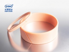 導向環(huán)DST3